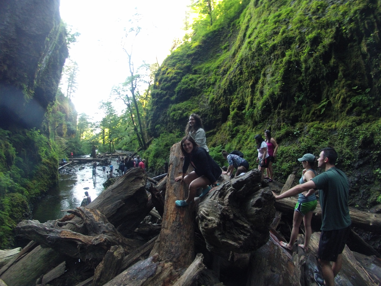 Oneonta Gorge